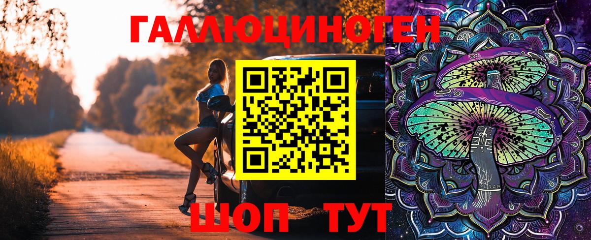 Коряжма  Галлюциногенные грибы Cubensis  Вход с VPN 